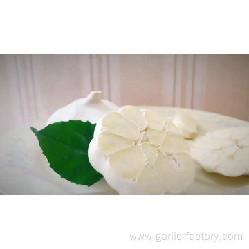 Fresh pure white garlic 4.5 cm
